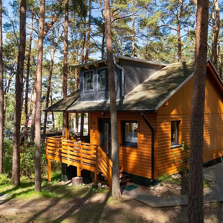 Wald & Lägenhet